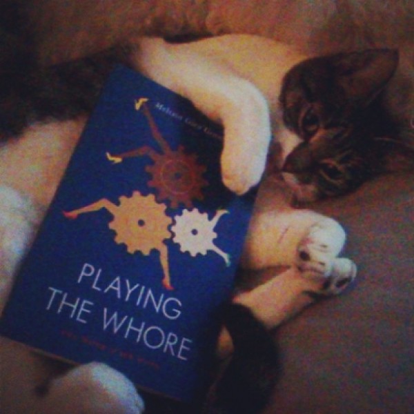 Valerie Solanas, Melissa's cat, one of the first readers of Melissa's new book (photo by Melissa)
